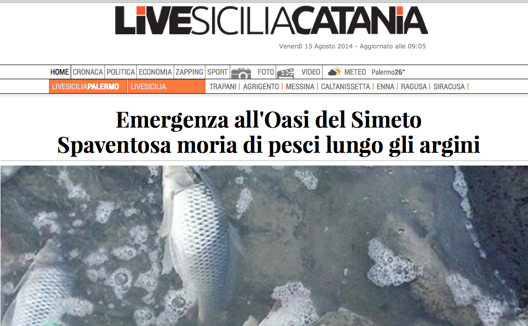 Oasi del Simeto VIDEO SHOCK Spaventosa moria di pesci http://goo.gl/S3nqVP