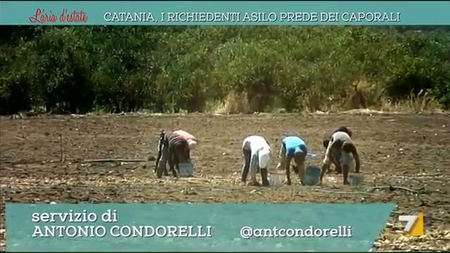 Schiene curve sulla Piana di Catania, infiltrato tra i caporali di Mineo